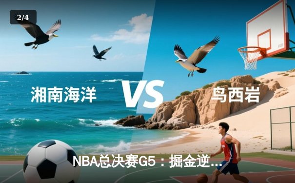 NBA总决赛G5：掘金逆转热火夺赛点 约基奇全能表现创历史 - 2
